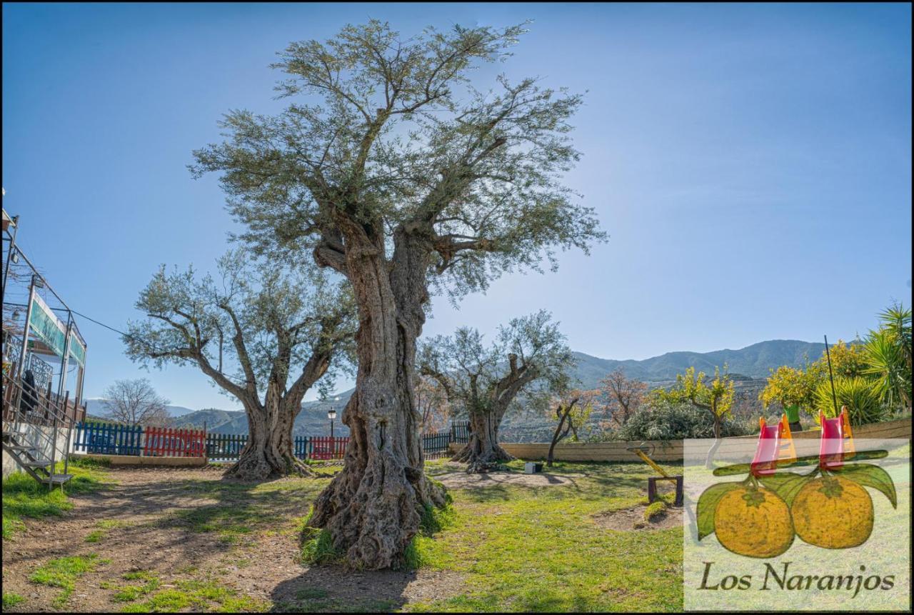 Hostal Y Apartamento Rural Los Naranjos Melegis 외부 사진