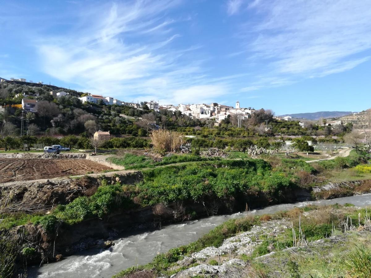 Hostal Y Apartamento Rural Los Naranjos Melegis 외부 사진