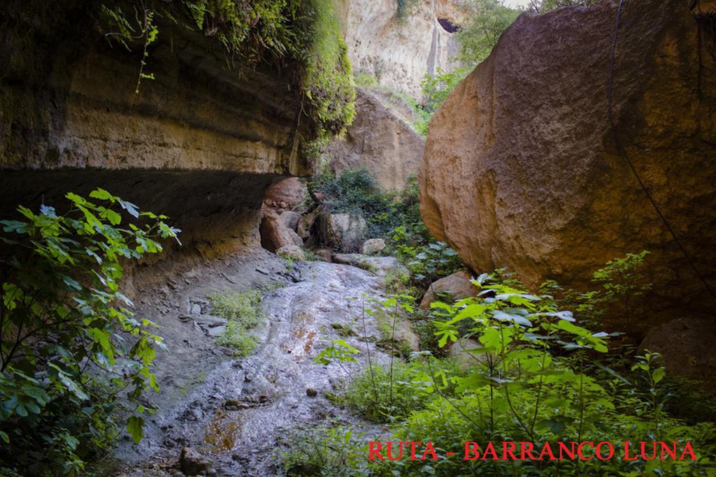 Hostal Y Apartamento Rural Los Naranjos Melegis 외부 사진