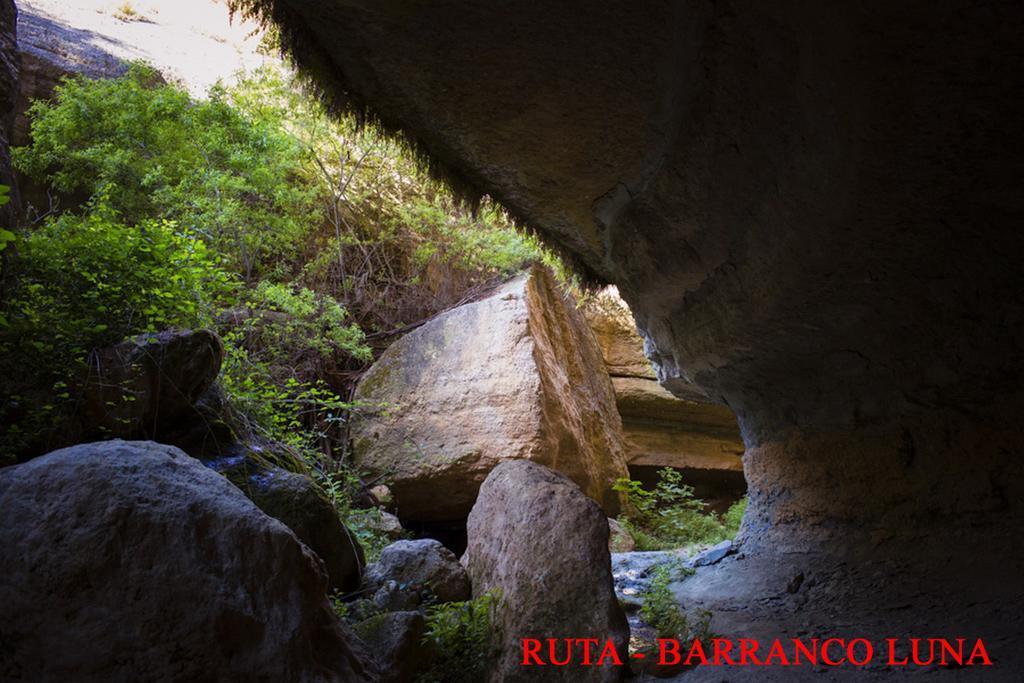 Hostal Y Apartamento Rural Los Naranjos Melegis 외부 사진
