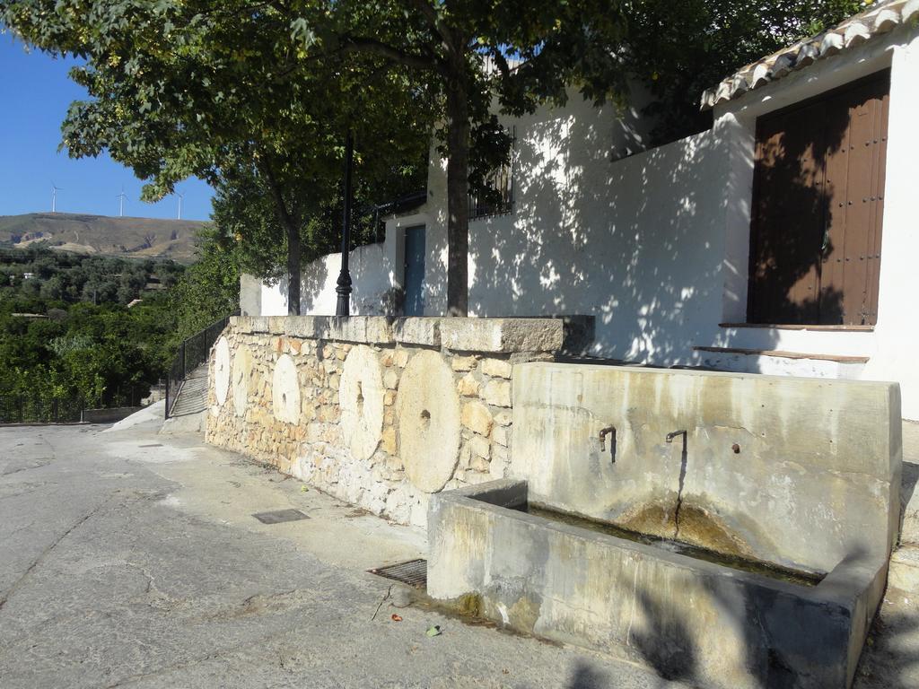 Hostal Y Apartamento Rural Los Naranjos Melegis 외부 사진