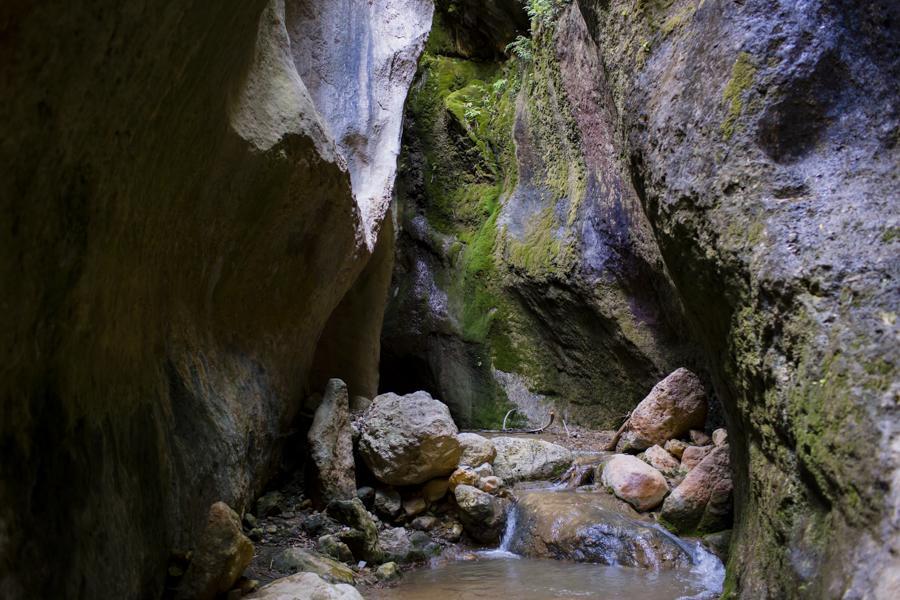 Hostal Y Apartamento Rural Los Naranjos Melegis 외부 사진
