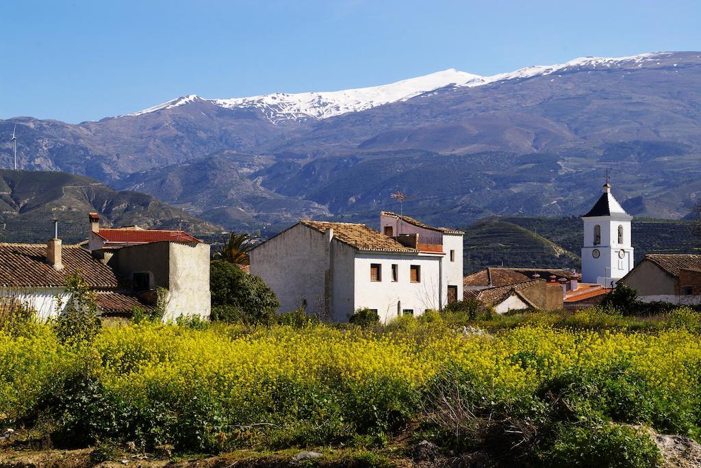 Hostal Y Apartamento Rural Los Naranjos Melegis 외부 사진