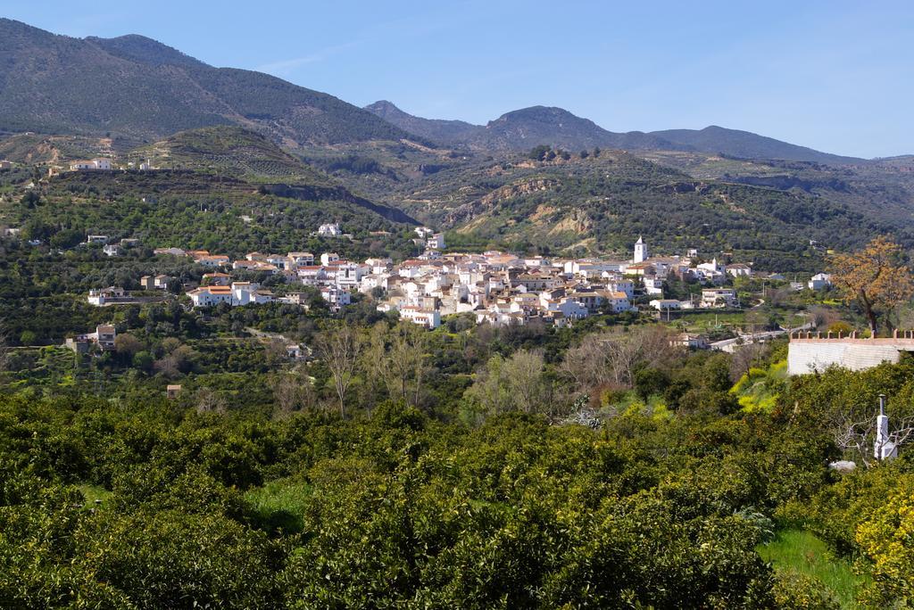 Hostal Y Apartamento Rural Los Naranjos Melegis 객실 사진