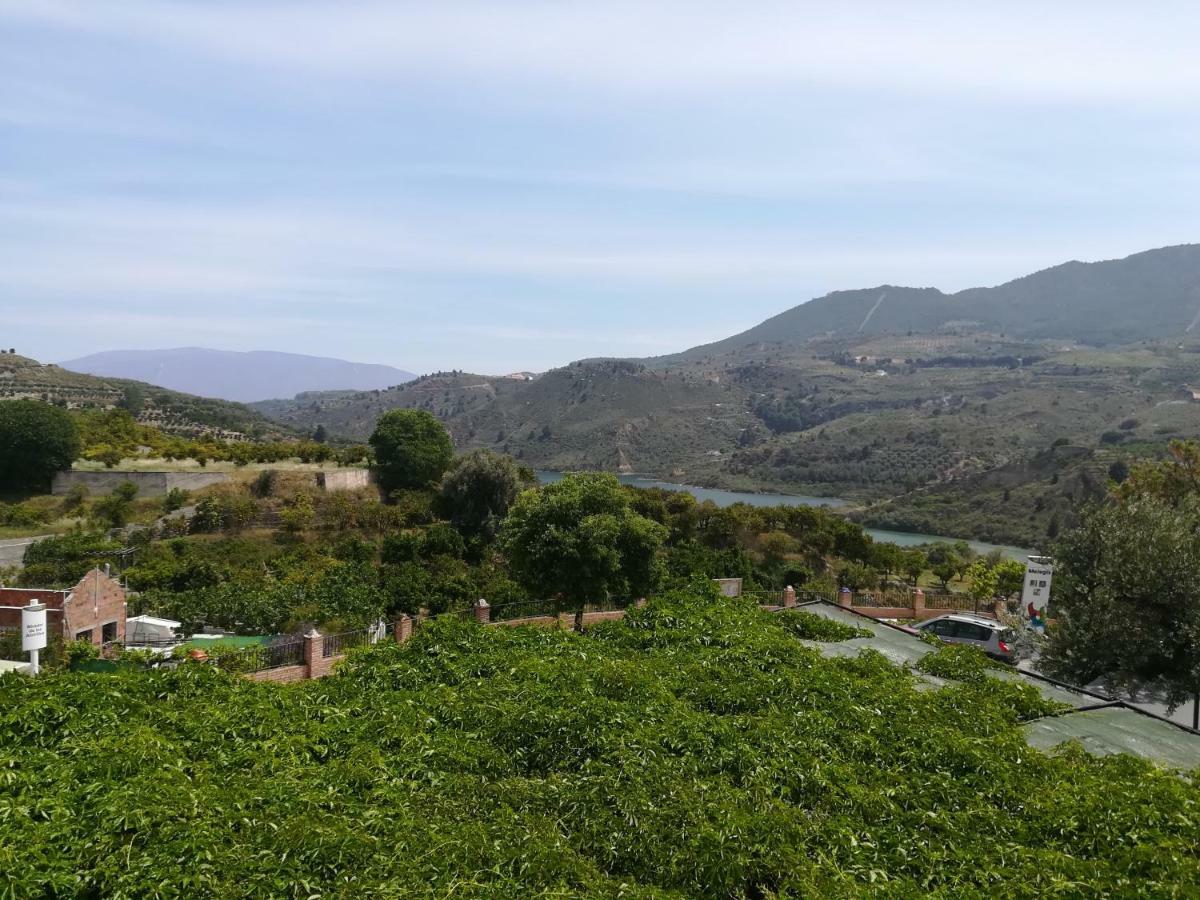 Hostal Y Apartamento Rural Los Naranjos Melegis 외부 사진