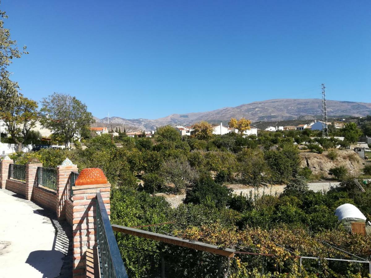 Hostal Y Apartamento Rural Los Naranjos Melegis 외부 사진
